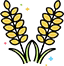 High Quality Grains